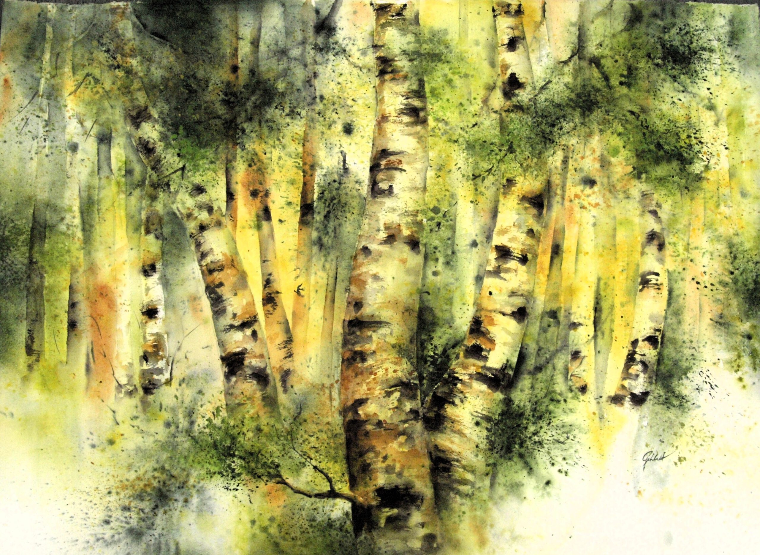 „Birken Idyll“ Aquarell 76cmx105cm